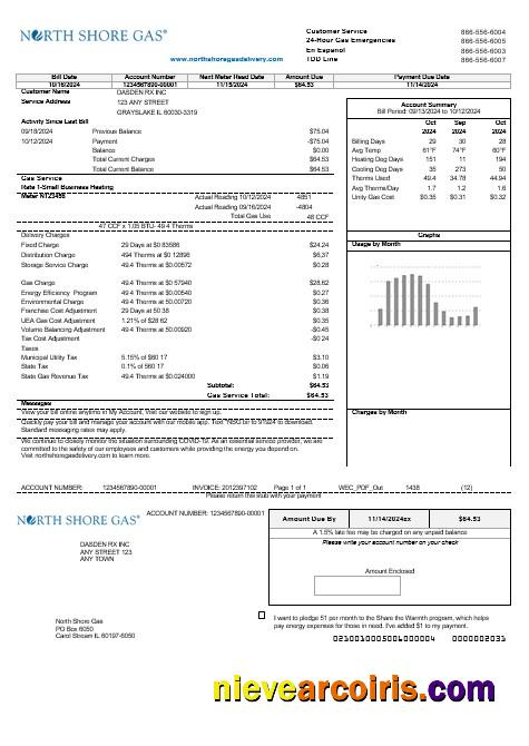 USA Illinois North Shore Gas business utility bill